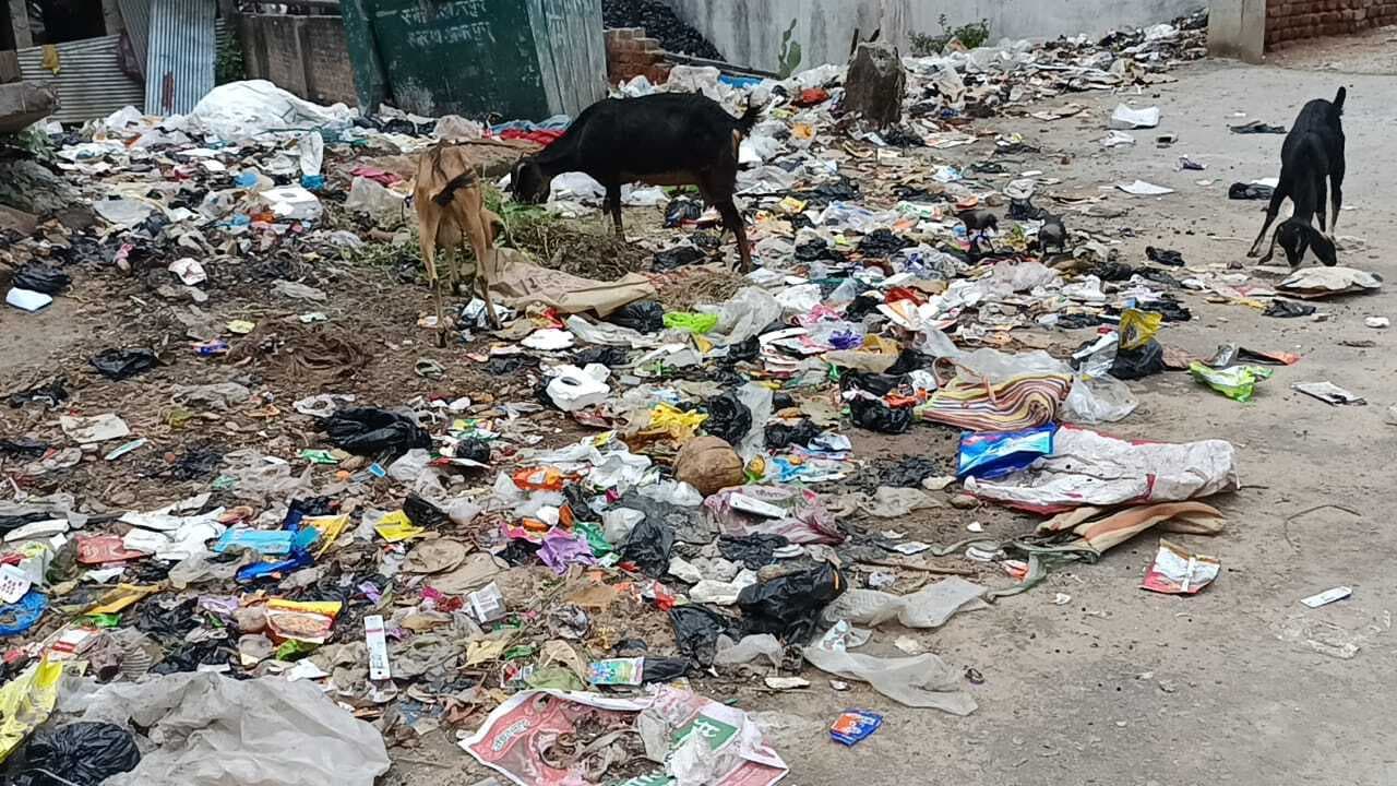 शहर व मुहल्लों में सफाई कार्य रही बाधित, कचरे का लगा ढेर