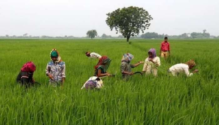 Ranchi news : राज्य के किसानों का होगा निबंधन, मिलेगी यूनिक आइडी