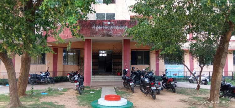 जिले भर में 52 हेक्टेयर में धान व 15700 में होगी मक्के की खेती