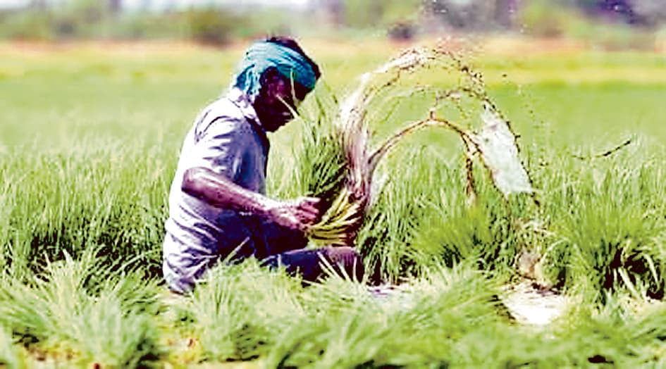 फसल बीमा के तहत मुआवजा आवंटन में गड़बड़ी का आरोप
