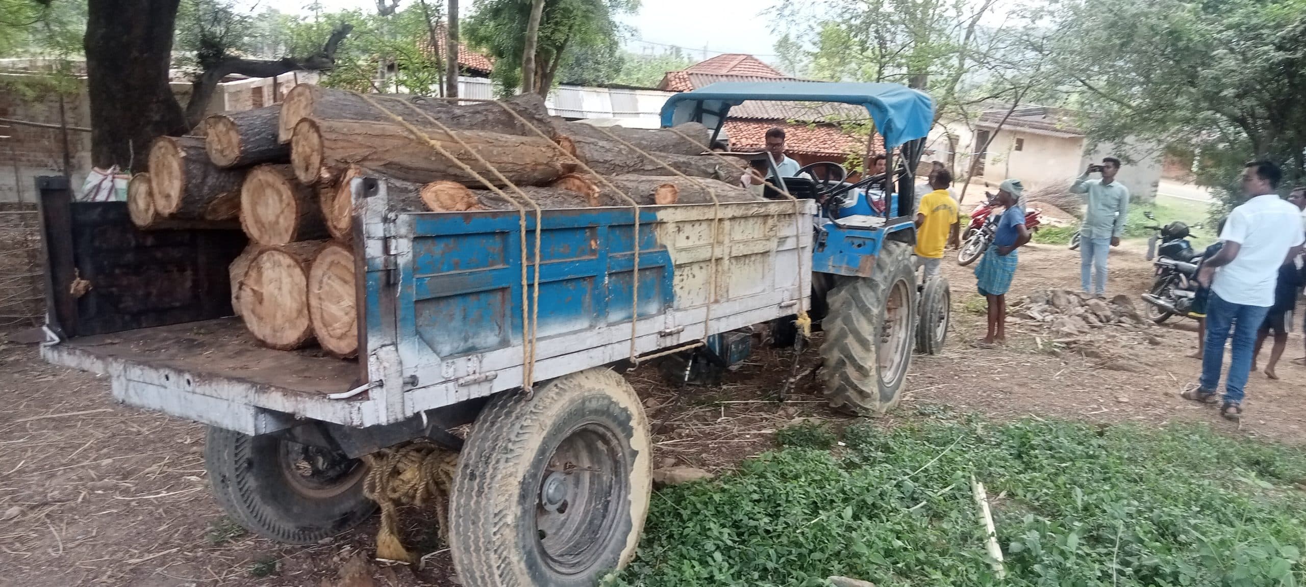 East Singhbhum News : सोमाडीह में 25 पीस लकड़ी लदा ट्रैक्टर जब्त