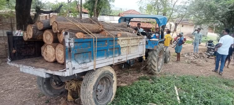 East Singhbhum News : सोमाडीह में 25 पीस लकड़ी लदा ट्रैक्टर जब्त