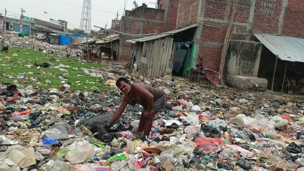 नुआंव बाजार में कूड़े भरे दलदल में फंस रहे मवेशी
