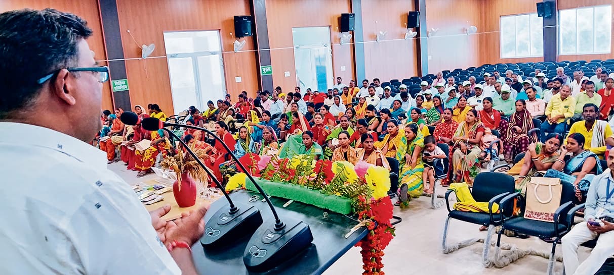 Gaya News : जिले में मोटे अनाज के उत्पादन की अच्छी संभावनाएं