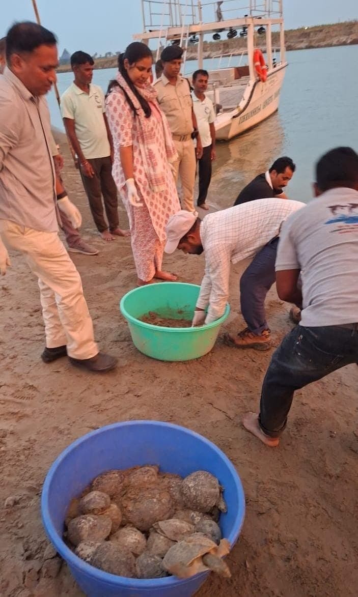 Bhagalpur News: कछुए को संरक्षित करना हम सब का दायित्व : डीएफओ