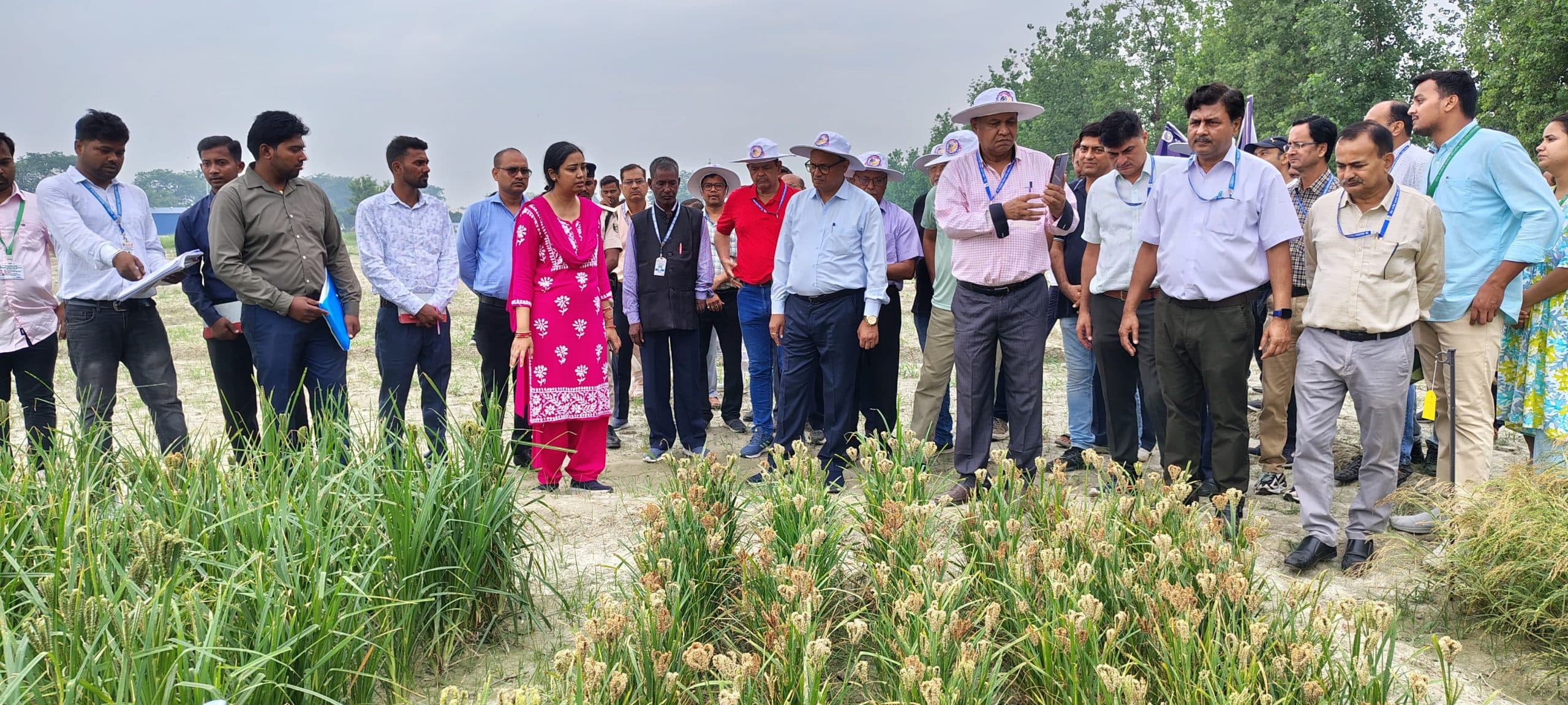 Agriculture university news from Samastipur:बाजरा आधारित उत्पादों को बेचने को वेबसाइट लांच : कुलपति