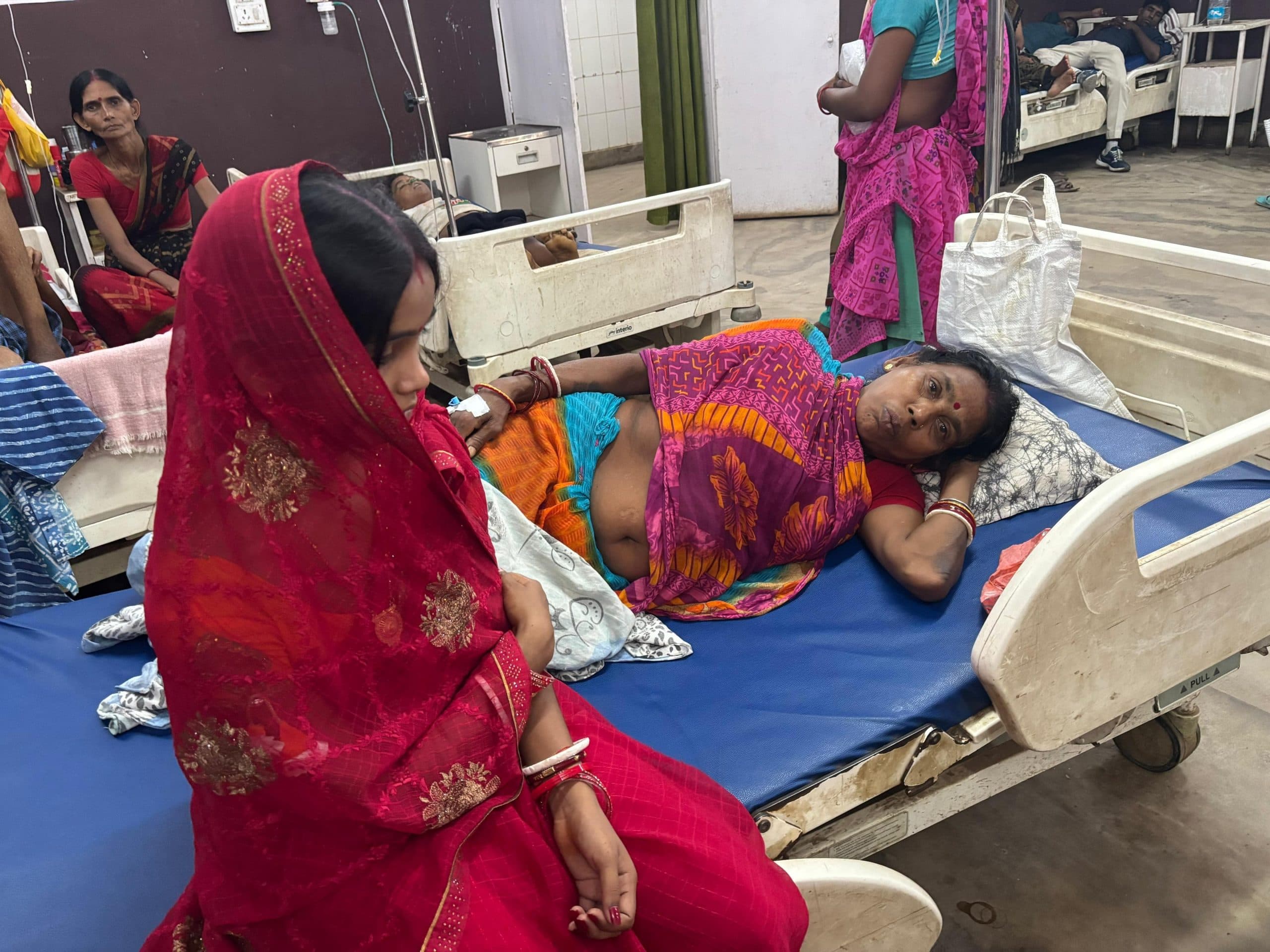 महिला को सांप ने डसा, इलाज के बाद बची जान