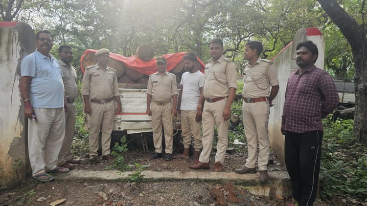 वनकर्मियों ने किया 21 बोटा सिमल लकड़ी लदा वैन जब्त