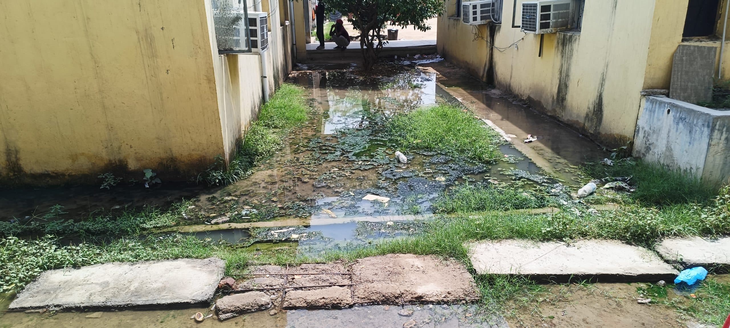 Gaya News : एएनएमएमसीएच में जलजमाव बड़ी समस्या, मरीजों और स्टाफ को भारी परेशानी