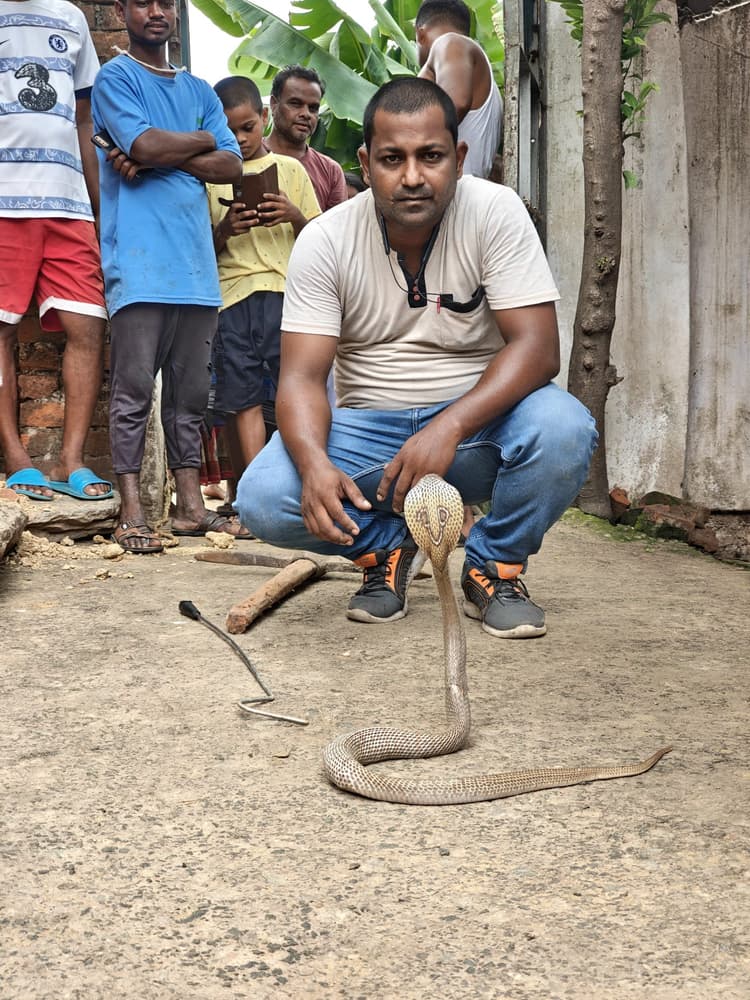 Seraikela News : घर में घुसा कोबरा, डेढ़ घंटे बाद बाहर निकाला गया