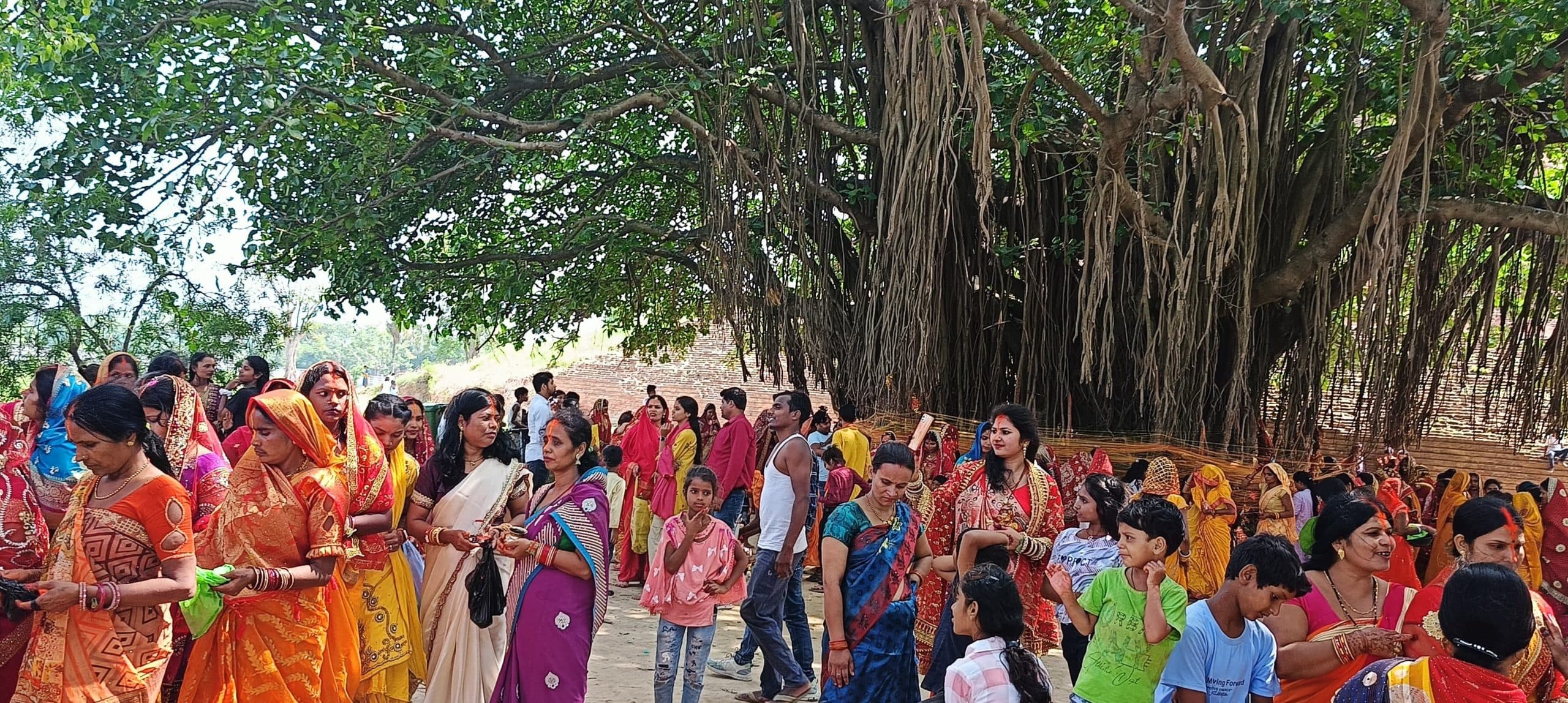 Motihari: बौद्ध स्तूप परिसर में महिलाओं ने की वट-वृक्ष की पूजा