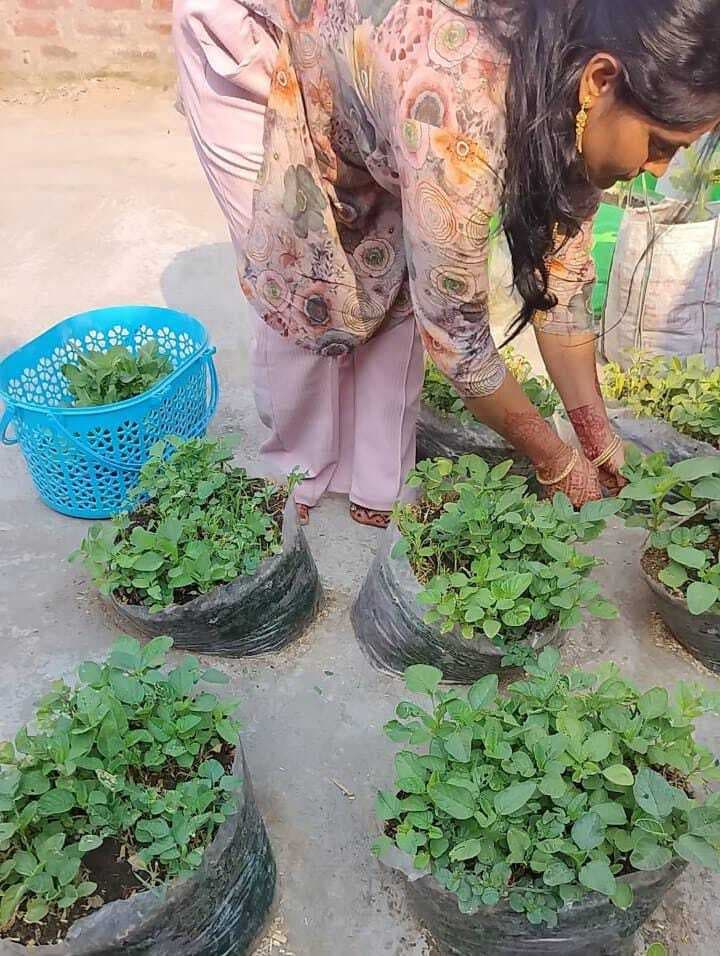 घर की छत को बना डाला किचन गार्डन