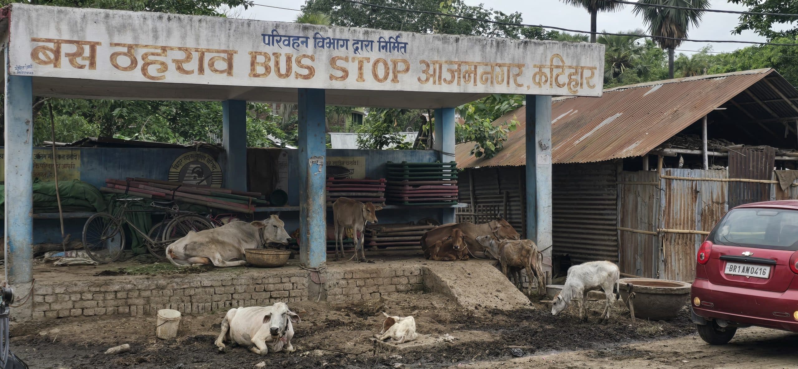 बस ठहराव बना पशुओं का तबेला, प्रशासन बेखबर