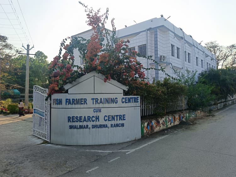 Ranchi News : 77 मत्स्य कृषक समूहों को दो-दो लाख रुपये का सरकार से अनुदान