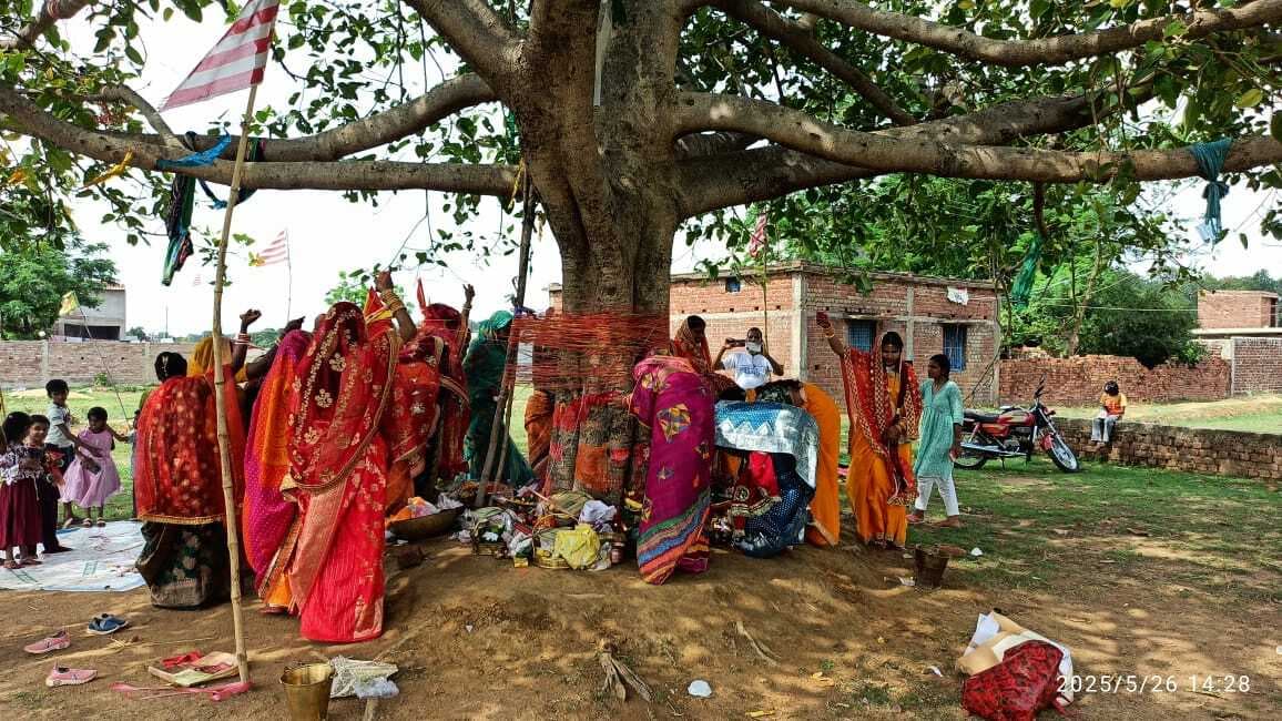 सुहागिनों ने वट सावित्री की पूजा की