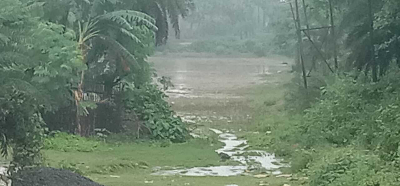 रूक-रूक कर हो रही बारिश से मौसम हुआ खुशनुमा