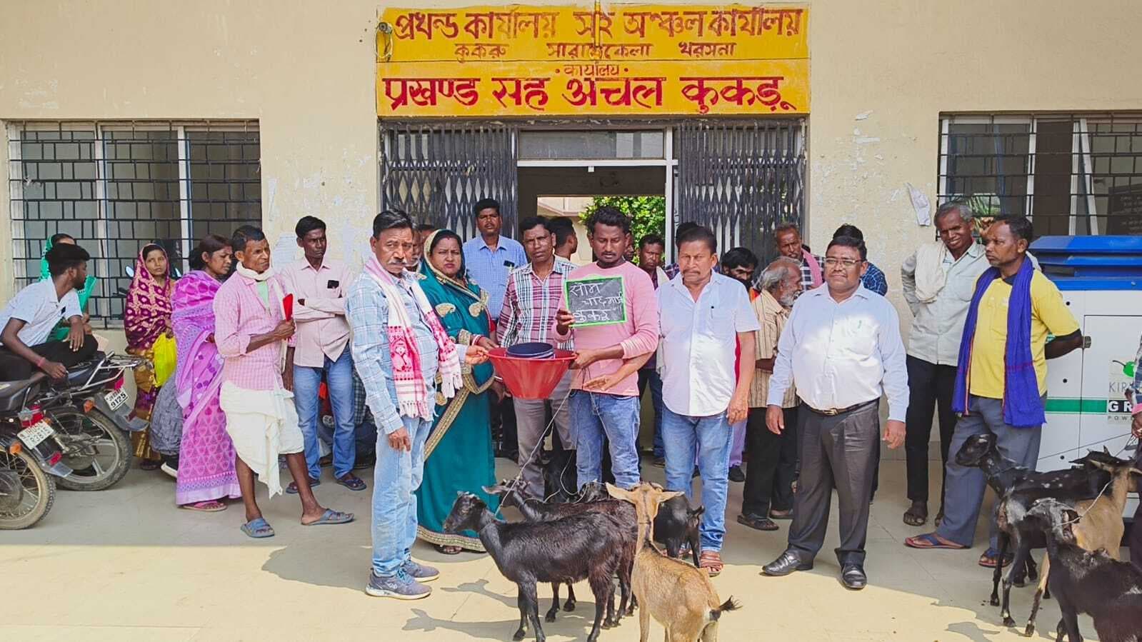 Seraikela Kharsawan News : 30 लाभुकों में पशुधन वितरित