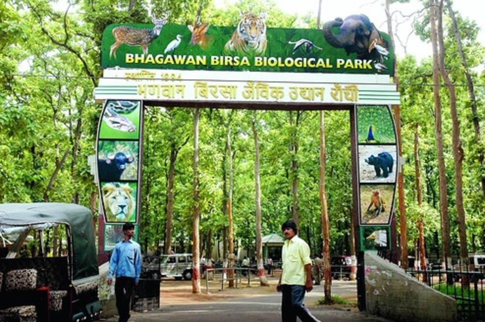 Ranchi News: शीशे के पिंजरे में दिखेगा शेर, जंगल के ऊपर स्काई वॉक कर सकेंगे लोग