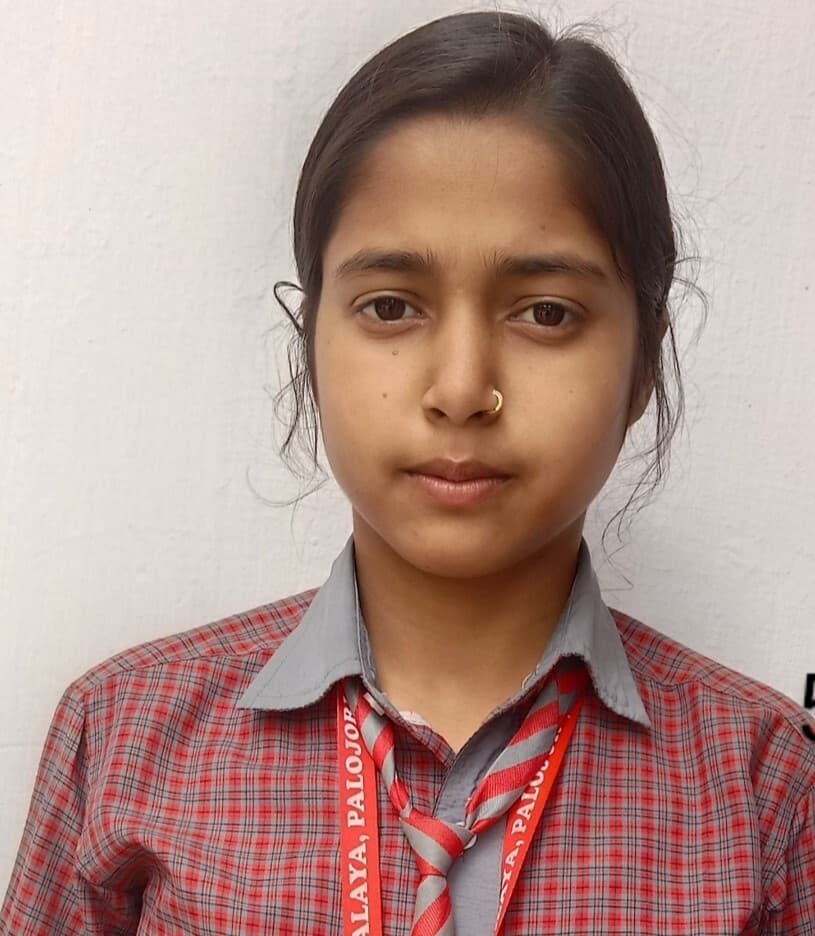 पालोजोरी : विकास विद्यालय के 84 बच्चों प्रथम श्रेणी में हुए उत्तीर्ण