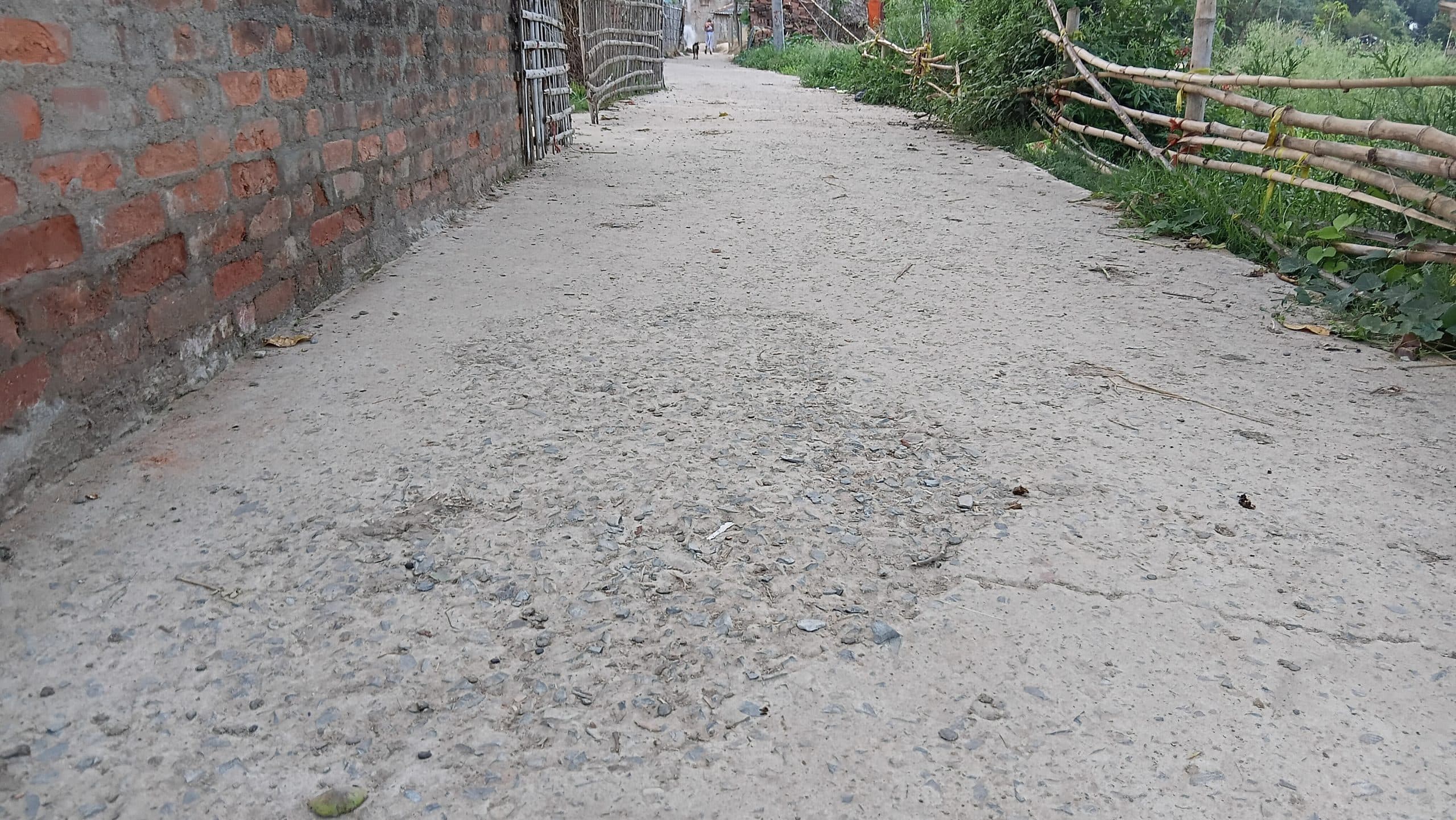 Madhubani News : अलपूरा गांव में निर्माण के आठ माह बाद ही टूटने लगी सड़क