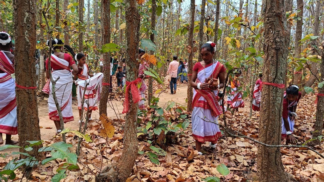 ranchi news : झारखंड के पर्यावरण योद्धा, जो धरती की हरियाली बचाने में जुटे हैं