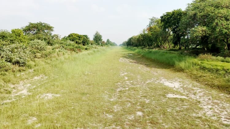 सूख गये चंवर, नहर और तालाब, प्यास के मारे तड़प रहे बेजुबान, नहरों में उग गयीं झाड़ियां, बच्चे खेल रहे क्रिकेट