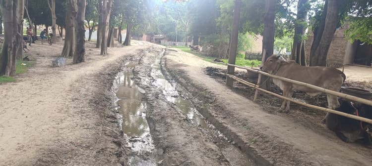 फेरीघाट जाने वाली सड़क का हाल बेहाल, लोग परेशान