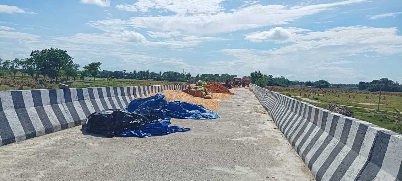 सड़क व पुलिया बने मक्का सुखाने का खलिहान, दुर्घटना से सहमे रहते हैं वाहन चालक