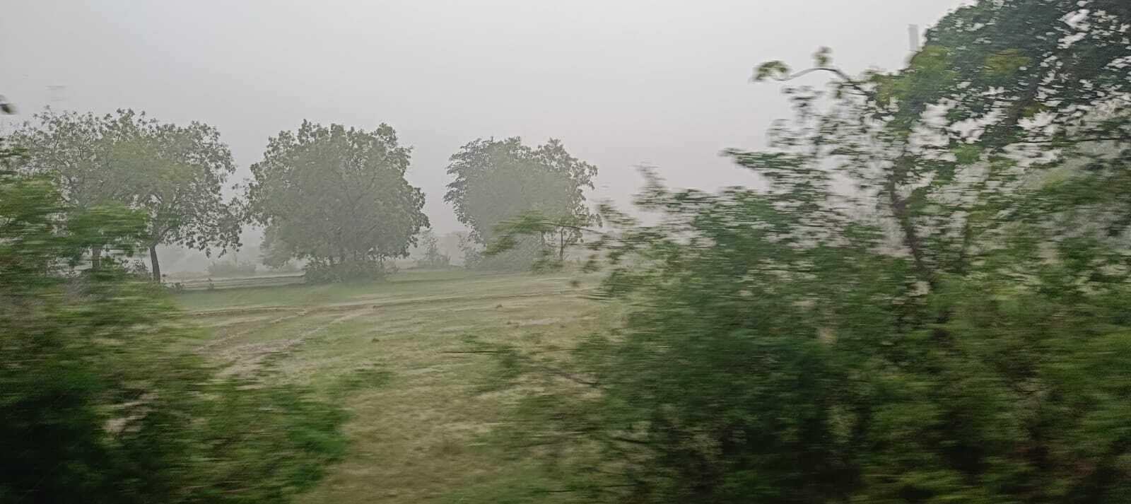 Seraikela Kharsawan News : रोहिणी पर्व के साथ शुरू हुई छींटा विधि से धान की खेती