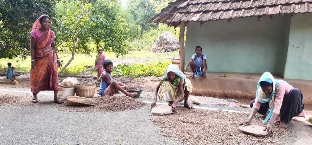 East Singhbhum News : जंगल के भरोसे कट रही पहाड़ से सटे ग्रामीणों की जिंदगी