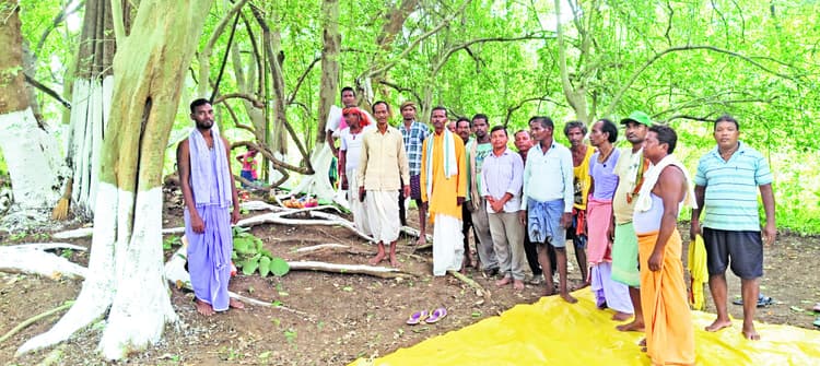 Chaibasa News : चेलाबेड़ा के ग्राम देवी की पूजा में 300 परिवार हुए शामिल, सुख, शांति व समृद्धि का आशीर्वाद मांगा