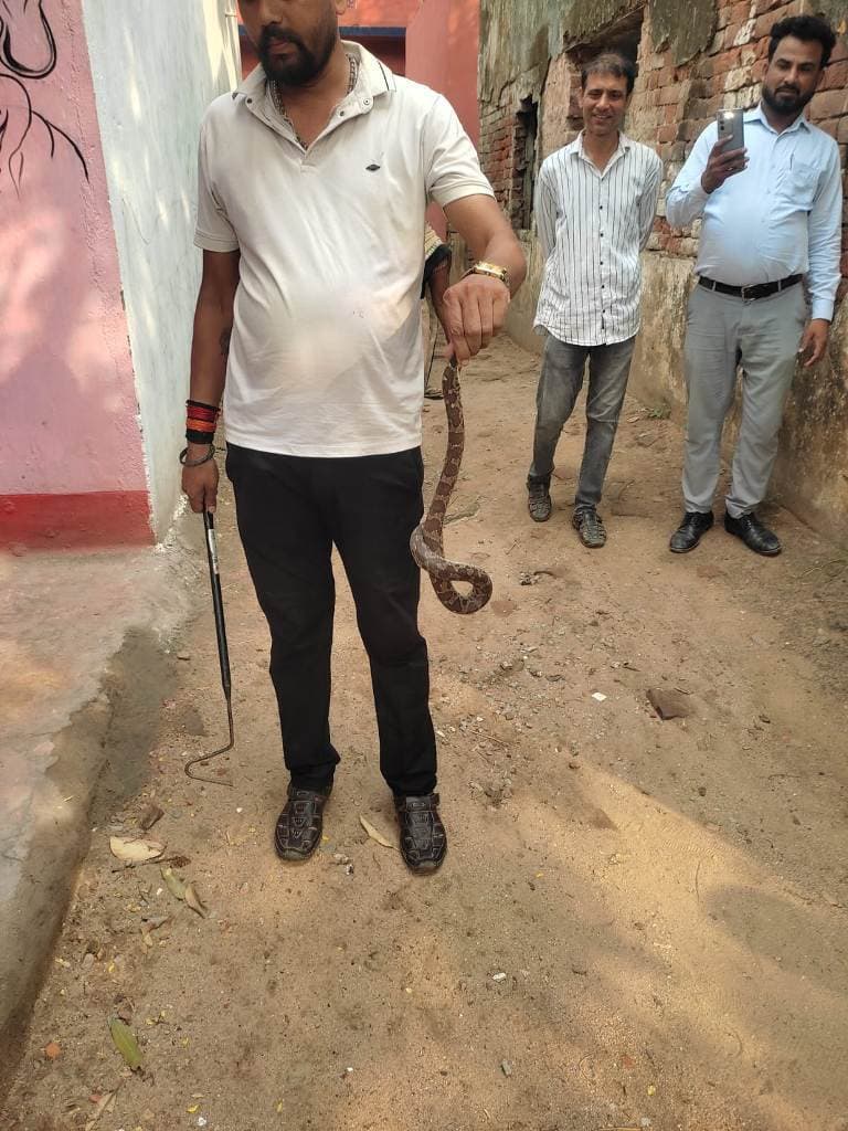 रामारानी जैन बालिका मिडिल स्कूल में निकला सांप, मची अफरातफरी