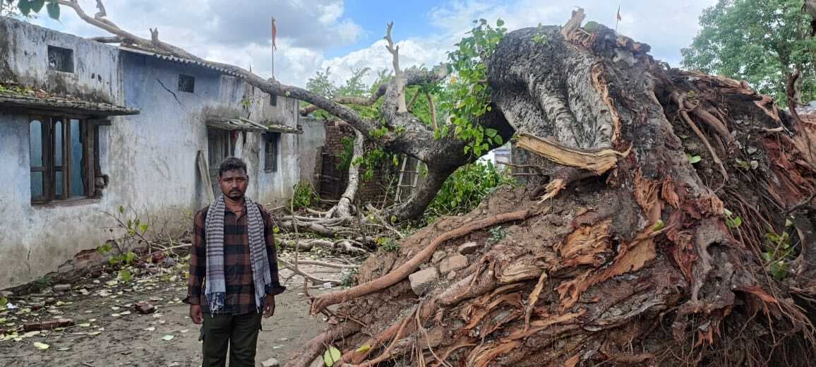 पेड़ गिरने से ध्वस्त हुआ मकान, दिहाड़ी मजदूर का परिवार बेघर