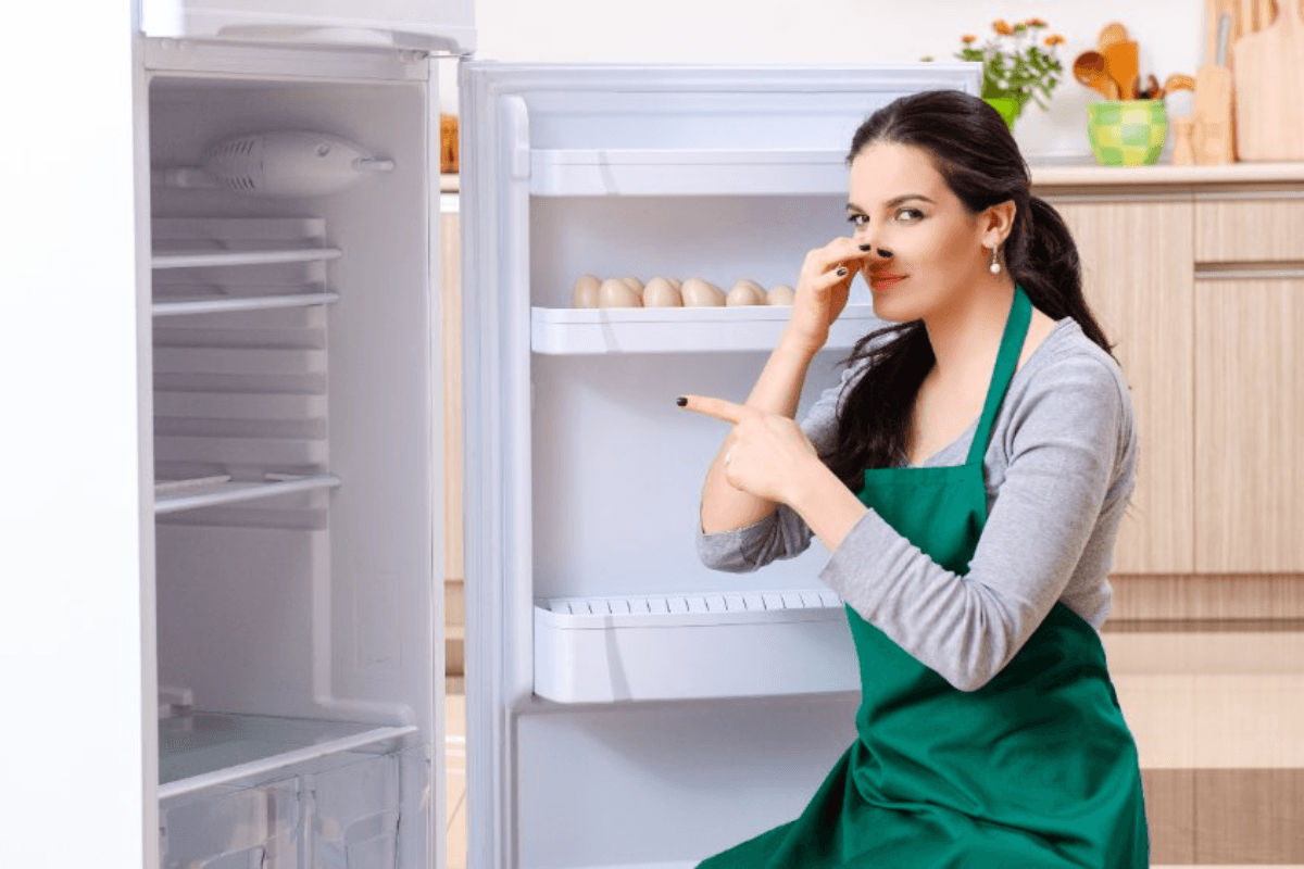 Fridge Smell Tips: फ्रिज की बदबू को चुटकियों में करें दूर! खाने को लंबे समय तक रखेगा ताजा