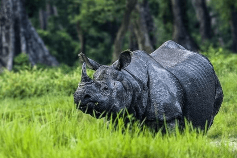 International Day for Biological Diversity (IDB) 2025: 21 मई को मनाया जाता है अंतरराष्ट्रीय जैव विविधता दिवस International Biodiversity Day 2025