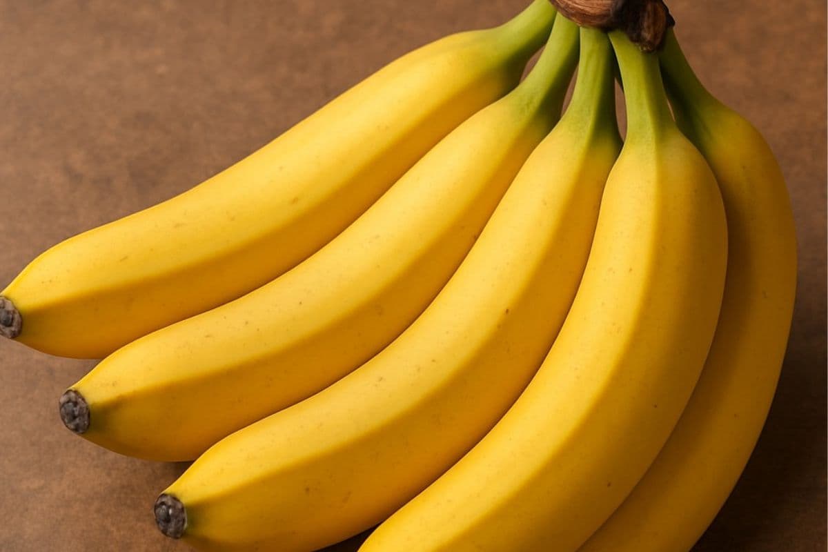 Kitchen Tips: गर्मी में जल्दी सड़ जाते हैं केले? इन स्टोरेज टिप्स से रहेंगे कई दिनों तक ताजे