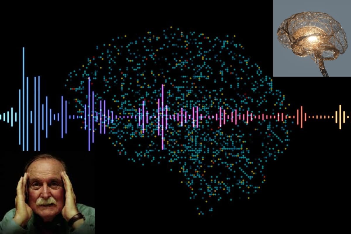 मौत के बाद जिंदा हुआ संगीतकार का दिमाग, लैब में रच रहा नये सुर, एआई नहीं ये है लैब-ग्रो ब्रेन का कमाल