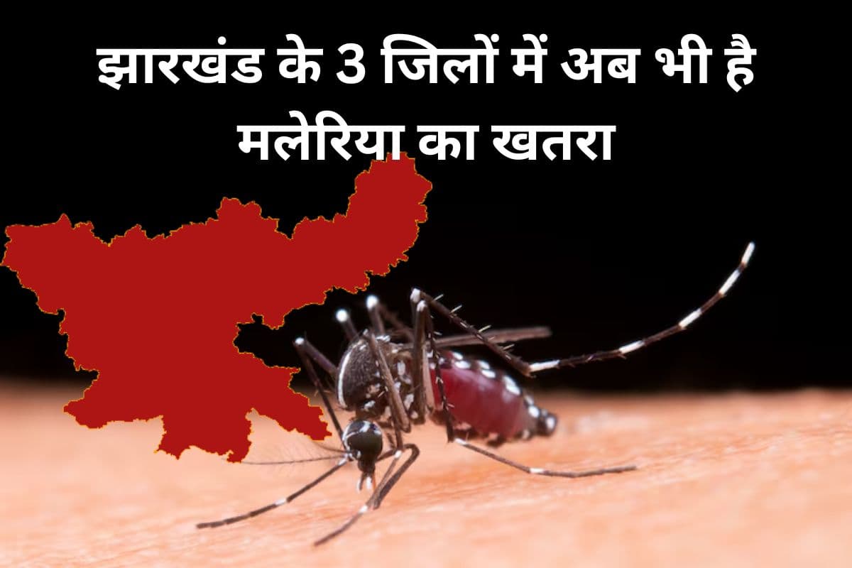 झारखंड के इस जिले में मलेरिया का सबसे ज्यादा खतरा, 3 जिलों का एपीआई 3 से अधिक