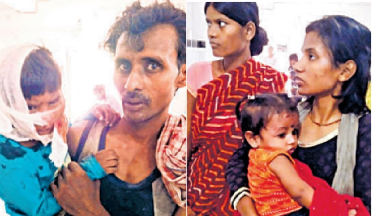 Bihar News: आदमखोर बने पटना के आवारा कुत्ते, 3 बच्चे समेत 7 हुए शिकार, तीन गंभीर