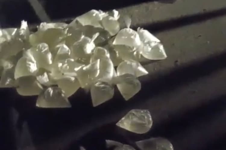 Bihar News: सड़क पर फैली तस्कर की शराब, लूटने को मची होड़ और फिर...