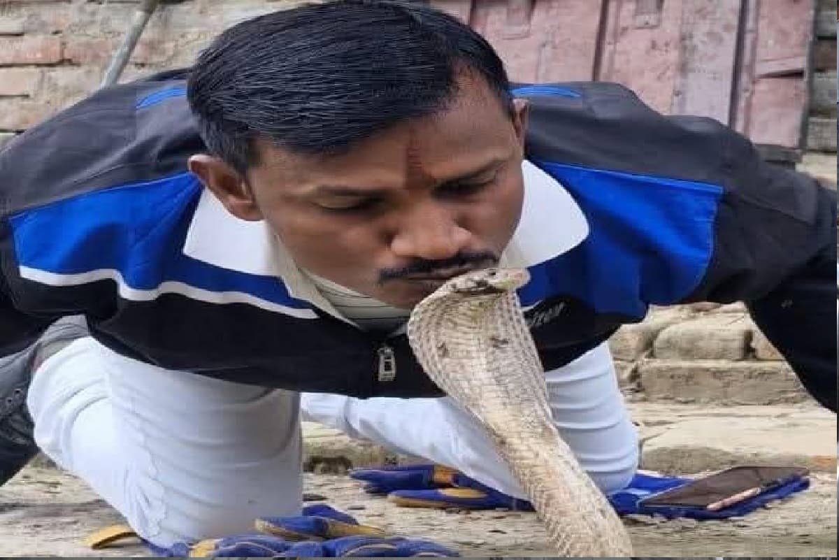 सांपों का रेस्क्यू करने वाला खुद हो गया सर्पदंश का शिकार, चुटकी बजाकर बना लेता था अपना दिवाना