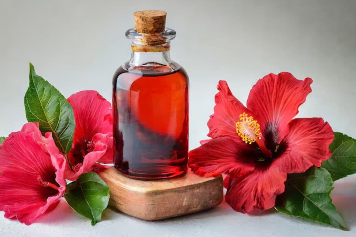 Skin Care Tips: चेहरा होगा साफ और चमकदार, बस एक बार लगा लें इस खास चीज से बना टोनर