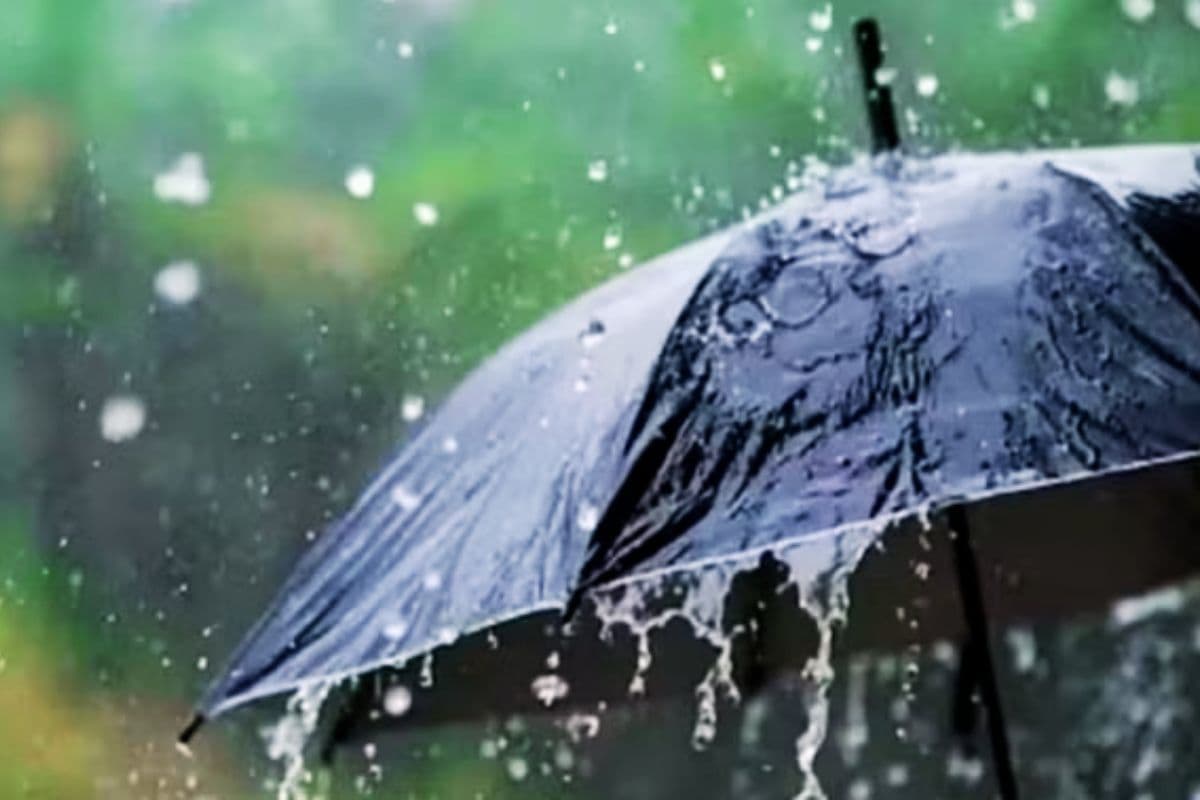 Weather Alert: झारखंड के इन 2 जिलों में अगले 3 घंटे में गरज के साथ होगी बारिश, वज्रपात की भी आशंका