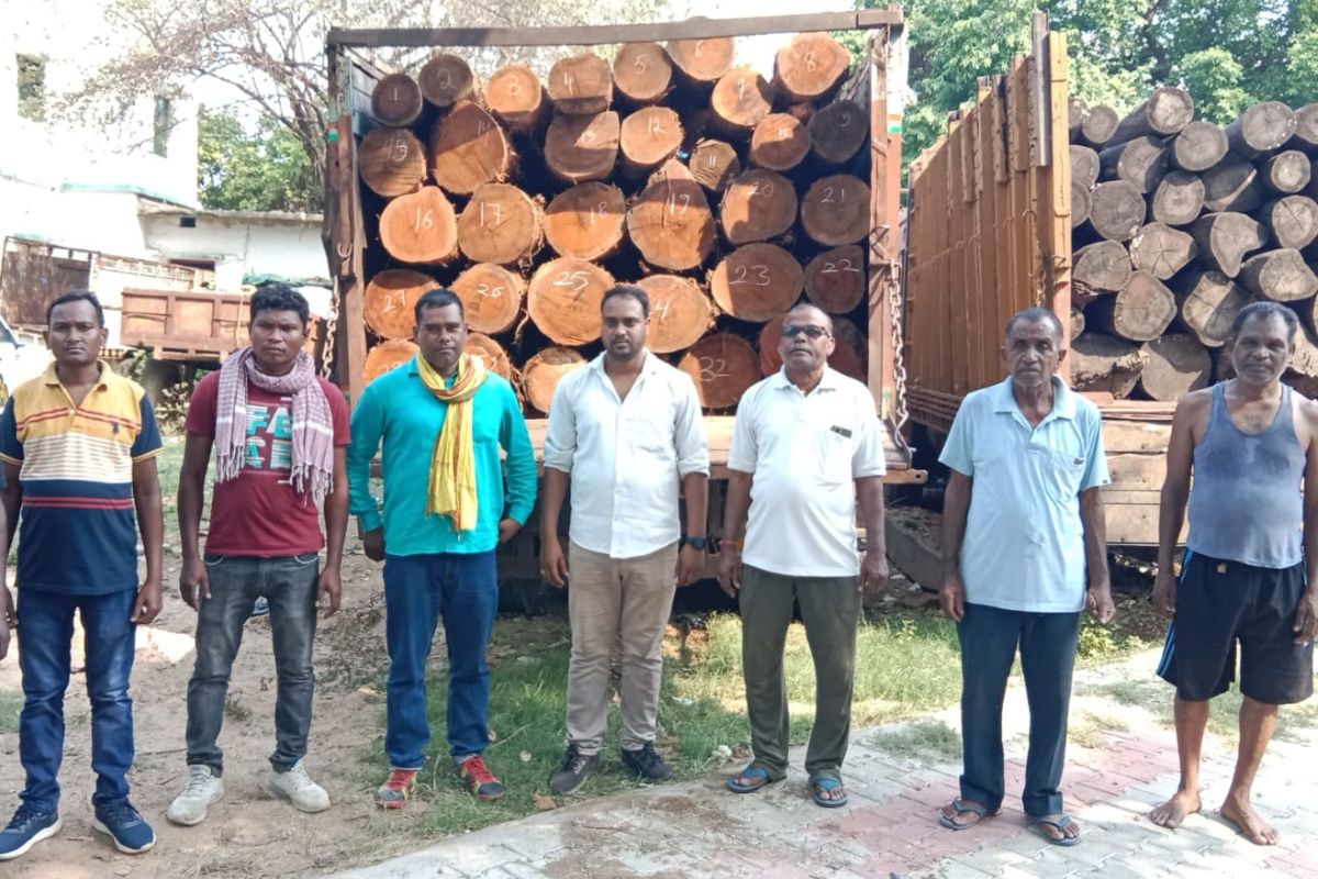 Wood Smuggling: झारखंड में लकड़ी तस्करों के खिलाफ वन विभाग का बड़ा एक्शन, ट्रक समेत 5 लाख की लकड़ी जब्त