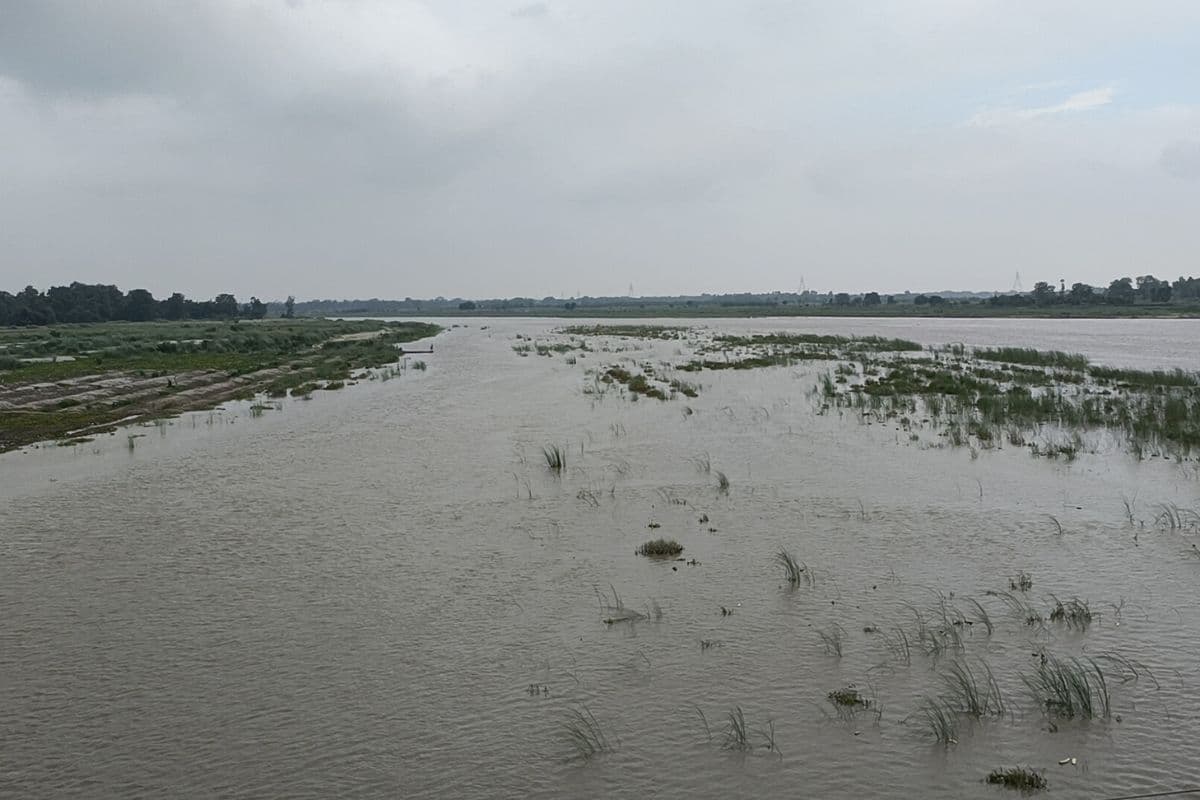 Bihar News: बागमती नदी के बढ़ते जलस्तर ने बढ़ाई चिंता, बाढ़ नियंत्रण को कमेटी गठित