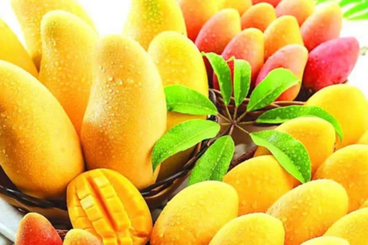 सांकेतिक फोटो