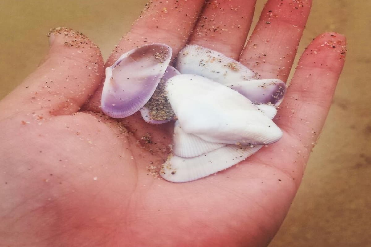 अरे रुकिए रुकिए कहीं आप भी तो नहीं फेंक रहें बचे हुए साबुन के टुकड़े, ऐसे करेंगे इस्तेमाल तो महक उठेगा घर का कोना-कोना 