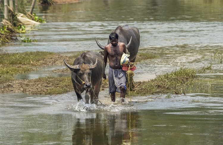 Kal Ka Mausam: अगले 24 घंटे में भारी से बहुत भारी बारिश, उत्तर भारत में भी गरजेंगे बदरा, IMD का हाई अलर्ट