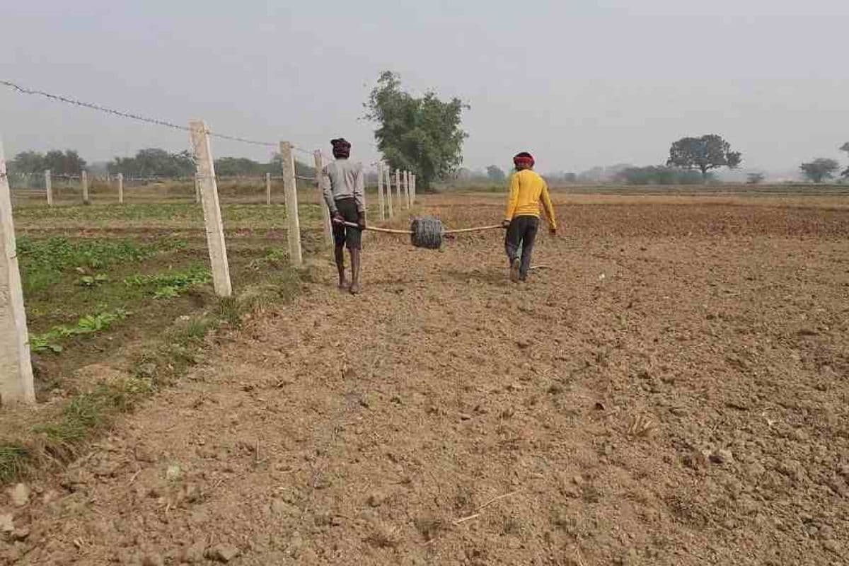 Bihar News: एडीएम की रैंकिंग में पटना का हाल बुरा, बांका टॉप पर, देखें अपने डिस्ट्रिक्ट का स्थान