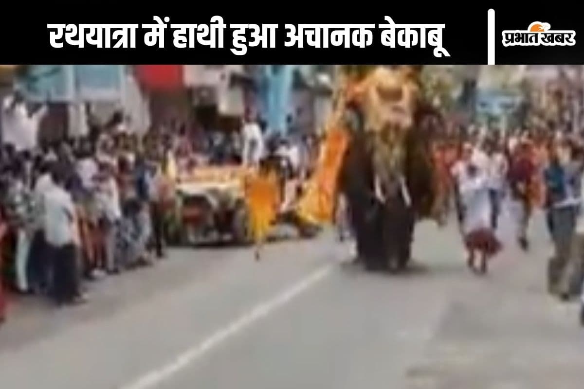अहमदाबाद रथयात्रा में अफरा-तफरी, तीन हाथी अचानक बेकाबू, दो घायल, सामने आया वीडियो